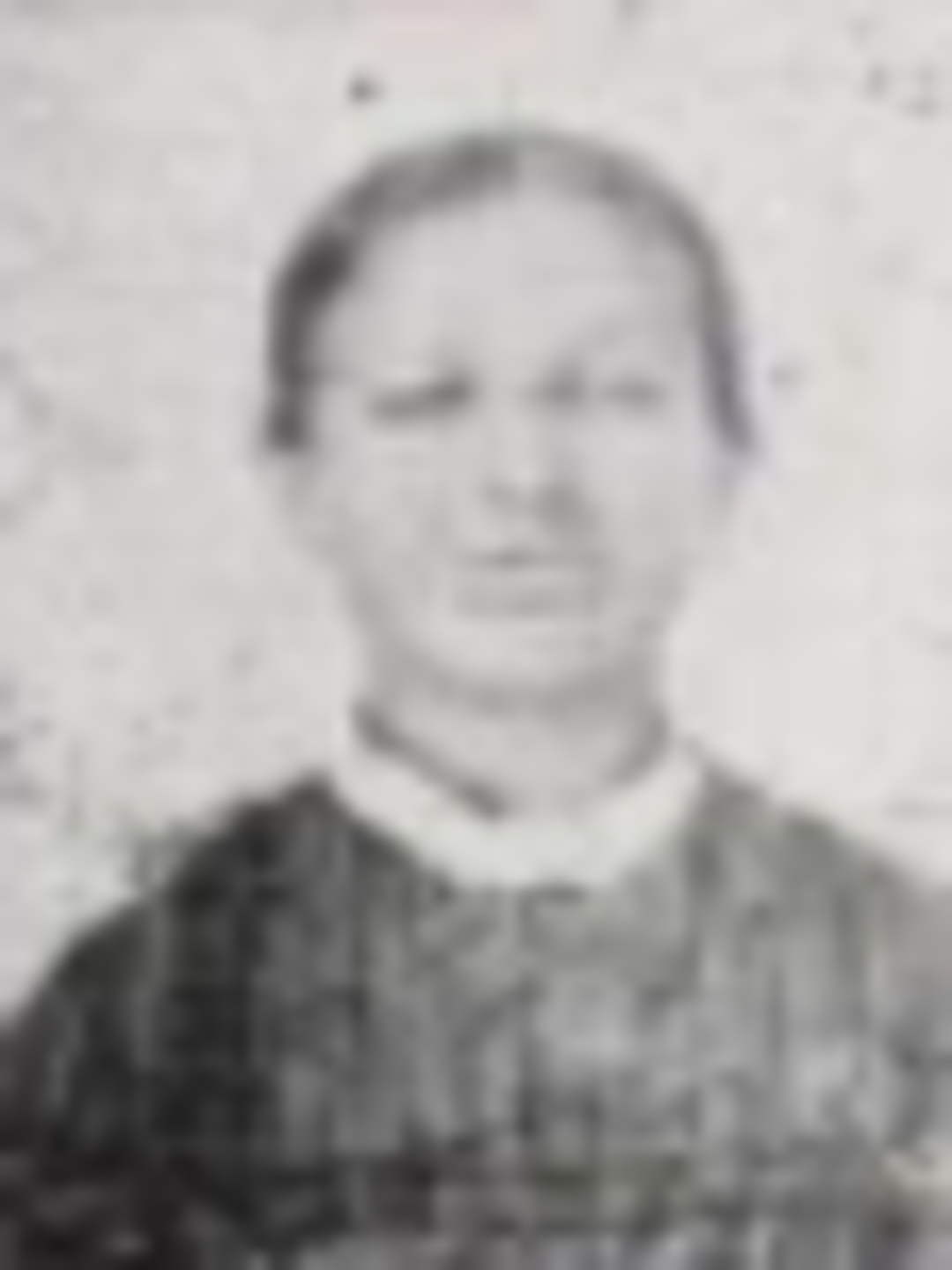 Louisa Gubler (1852 - 1930) Profile